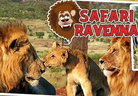 Hotel Sorriso Lido di Classe